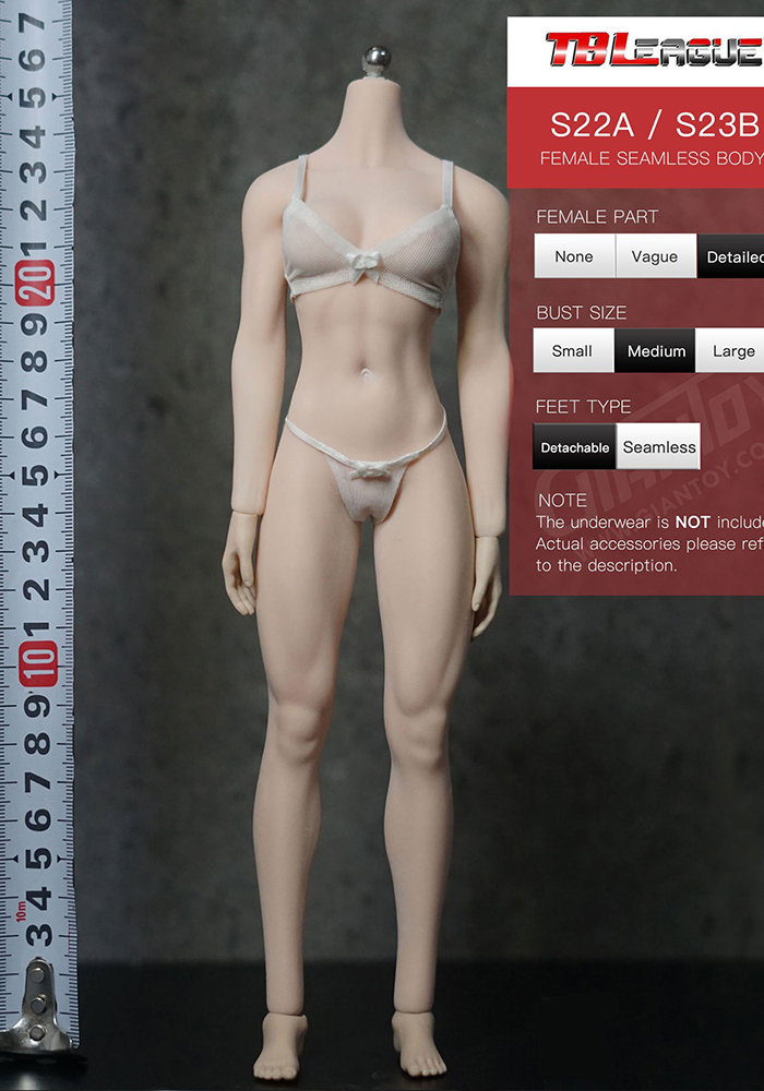 In-stock 1/6 TBLeague Phicen European Athlete S22A S23B Seamless Body
