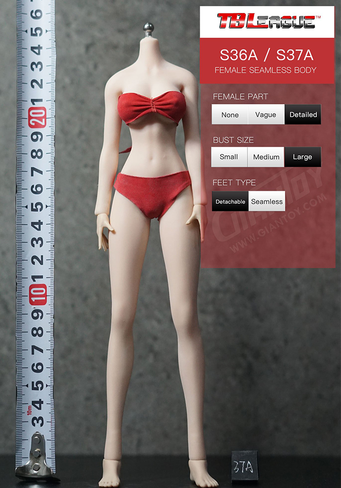 In-stock 1/6 TBLeague Anime Girls S36A S37A Hour-glass Large-Bust Seamless Body
