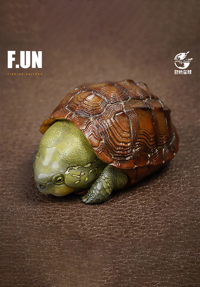 Animal Planet Buddha snapping turtle real snapping turtle big head tortoise black turtle tide