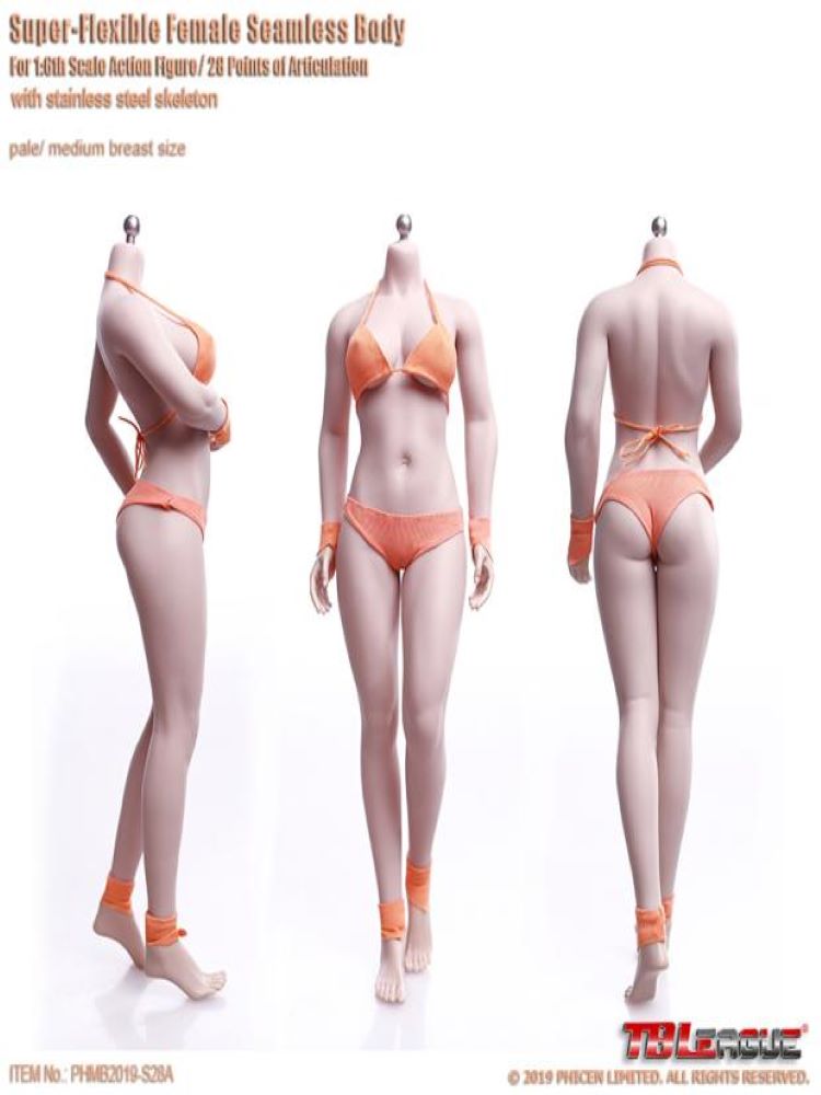 TBLeague S28A S29B 1/6 Scale female Seamless Body with Stainless Steel Skeleton collection figures