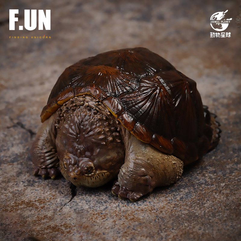 Animal Planet Buddha snapping turtle real snapping turtle big head tortoise black turtle tide