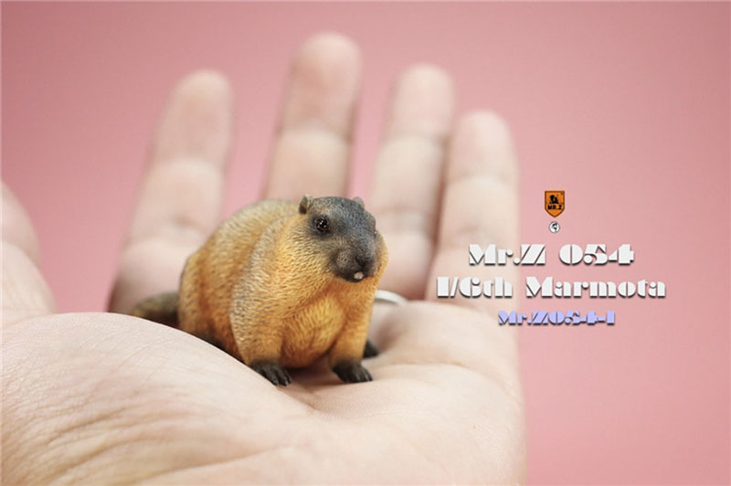 Mr.Z MRZ054 1/6 Cavia Porcellus Marmota Model Cute Animal Statue Scene Home Decor Toy