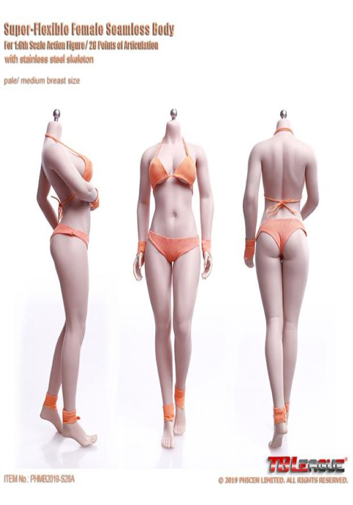 TBLeague S28A S29B 1/6 Scale female Seamless Body with Stainless Steel Skeleton collection figures