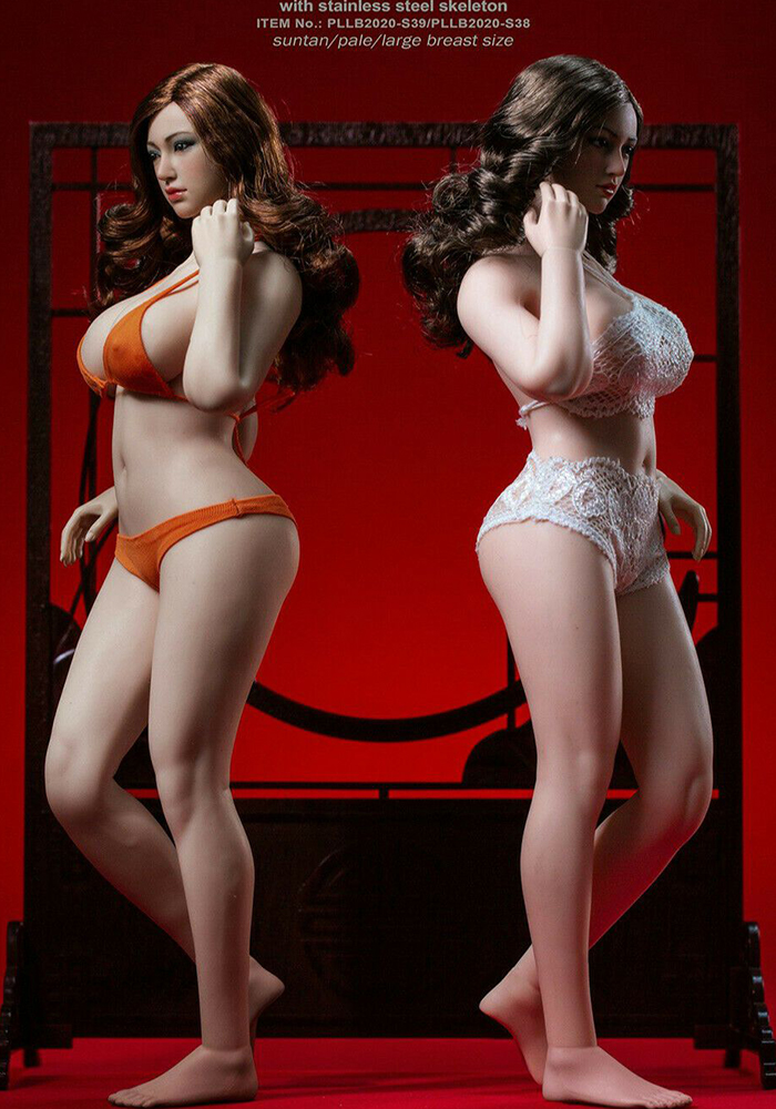 In-stock 1/6 TBLeague PLLB2020-S38 PLLB2020-S39 Plus Size Body W/ Head