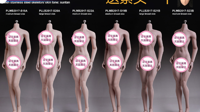 Phicen TBleague 1/6 Steel Female Body S18A S19B S20A S21B S22A S23B For 12inch Action Figure